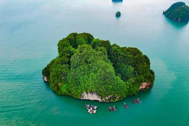 Isla de los Zorros (Kalong)