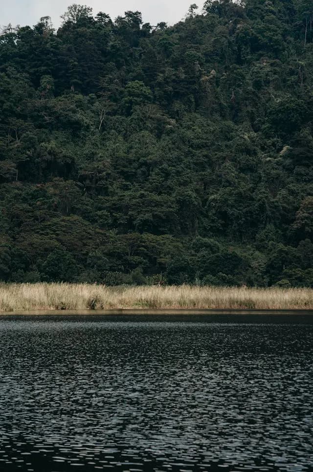 Lagos Comelos Buyan y Tamblingan