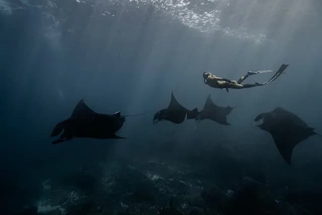 Punto de Mantas