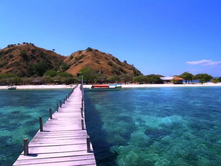 Isla Rinca