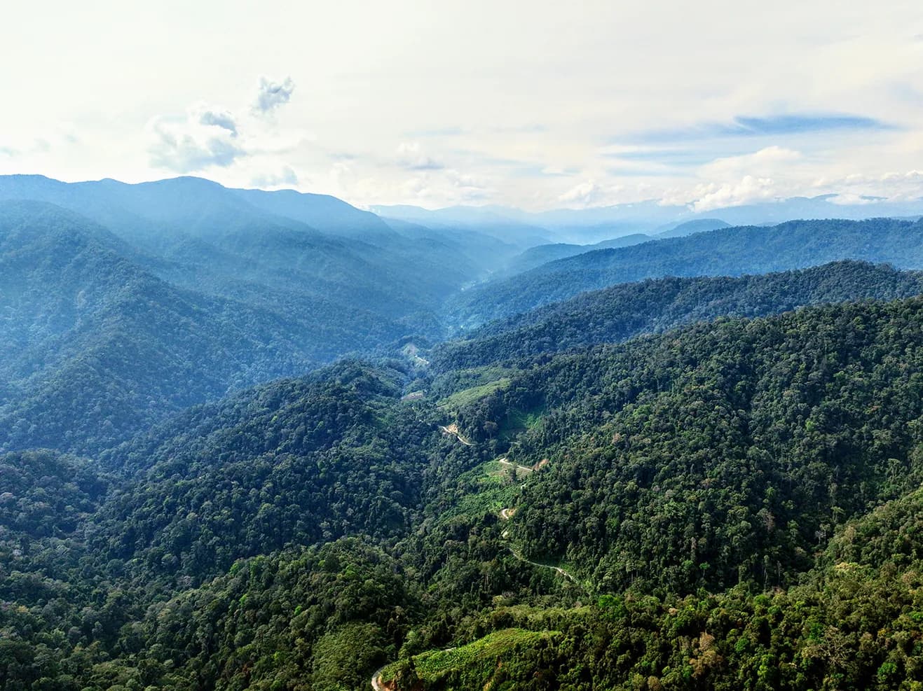 Parque Nacional Gunung Leuser featured destination