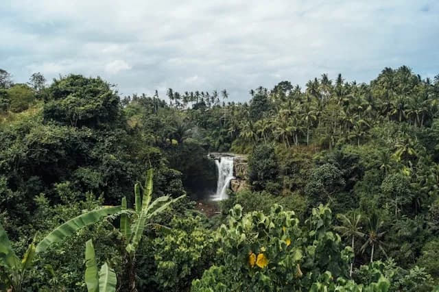 Descubra Bali: Circuito Completto